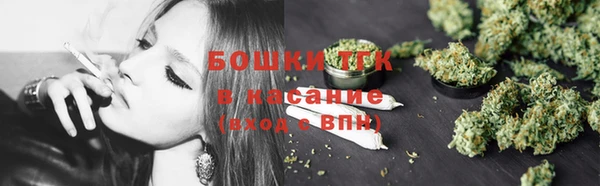 МДПВ Богородск