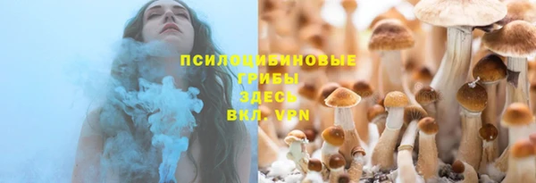 mdpv Богородицк