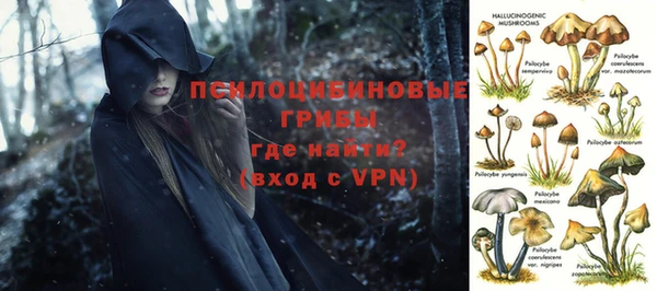 кокс Богданович