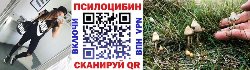 Псилоцибиновые грибы Magic Shrooms  Купить закладки  Арск 