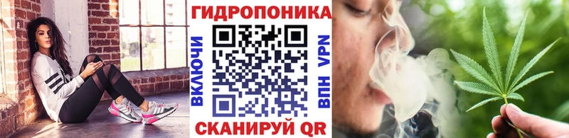 Конопля OG Kush  Купить закладки  Арск 